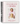 Celebrate with Babs: Holiday Recipes & Family Traditions (Spiral Bound)