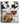 Cook Real Hawai'i: A Cookbook (Spiral Bound)