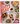 Let's Eat: 101 Recipes to Fill Your Heart & Home (Spiral Bound)