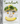 Tenderheart: A Cookbook About Vegetables and Unbreakable Family Bonds (Spiral Bound)