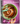 What's for Dessert: Simple Recipes for Dessert People (Spiral Bound)