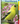 Adventure Quick Guides Birds of the Northeast: Your Way to Easily Identify Backyard Birds, (Spiral-Bound)