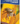 Adventure Quick Guides Spiders of the United States & Canada: Easily Identify 158 Common Species, (Spiral-Bound)