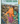 Adventure Quick Guides Coastal Life of the Pacific Coast: Discover Tidepools and Identify Beachcombing Finds and Iconic Wildlife, (Spiral-Bound)