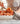 Once Upon a Chef: Weeknight/Weekend: 70 Quick-Fix Weeknight Dinners + 30 Luscious Weekend Recipes: A Cookbook