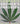 Cannabis Grower's Handbook: The Complete Guide to Marijuana and Hemp Cultivation