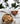 Cook Real Hawai'i: A Cookbook
