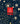 Burn After Writing (Celestial)