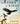 The Story of Birds: A New History from Their Dinosaur Origins to the Present