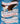 All American Patriotism: Celebrating 250 Years of America's Greatness