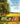 Encyclopedia of Applied Plant Sciences (2ND ed.)