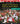 Encyclopedia of Blacks in European History and Culture: [2 Volumes]