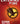 Catching Fire (Hunger Games, Book Two): Volume 2 (Hunger Games #02)