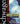 Fundamental Analysis Book & Study Guide Set (1ST ed.)