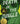 Death in the Jungle: Murder, Betrayal, and the Lost Dream of Jonestown