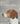 Dog Show: Poems