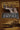 Sawdust Empire