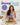 The Strong Curves Cookbook: 100+ High-Protein, Low-Carb Recipes to Help You Lose Weight, Build Muscle, and Get Strong