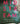 Midstream: A Life Remade in 50 Swims