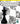 Checkmate! the Game of Chess: Applying Strategies from Simple to Complex Problems (Math for the Real World: Proficiency)