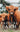Radical Farm: Animals, Food and Our Future