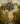 A Tropical Frontier: The Outpost
