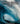 A Tropical Frontier: The Reef