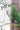 Parrot Coloring Pages: Beautiful Parrots Drawings for Kids and for Adults Relaxation