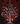 Slaying the Vampire Conqueror: A Crowns of Nyaxia Novel (The Crowns of Nyaxia)