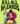 Kill All Wizards (Barbaric Ledgers #1)