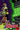 Expeditions Of Parynthia #1