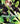 Seraph of the End, Vol. 5