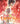 Twin Star Exorcists, Vol. 5