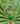 National Geographic Birder's Atlas of the World
