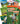 Time for Kids(r) Informational Text Grade 1 Spanish Readers Set 1 10-Book Set (Time for Kids(r) Informational Text) (1ST ed.)