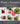 Pickle & Ferment: Preserve Your Produce & Brew Delicious Probiotic Drinks