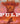 Pulp