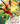 Astro City Metrobook Volume 6