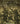 Encyclopedia of African Colonial Conflicts: [2 Volumes]