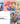David Michael Slater Set 2 (Set) (David Michael Slater Set 2)