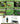 Bugs! (Set) (Checkerboard Science Library: Bugs!)