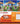 Cat Craze Set 1 (Set) (Cat Craze Set 1)