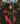 Brzrkr: Bloodlines