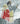 Vinland Saga, Book Two (Vinland Saga #02)