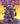 I Hate Fairyland Volume 2: Fluff My Life