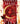 House of Earth and Blood (Crescent City #1)