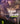 Killing Stalking: Deluxe Edition Vol. 3