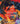 Among the Burning Flowers (Roots of Chaos)