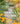 The Gravel Garden: Visionary, Drought-Defying, Naturalistic Designs