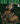 Dai Dark Vol. 2